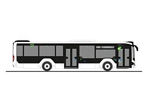 Man Lions City 12, 2018