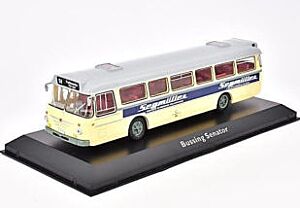 Bussing Senator