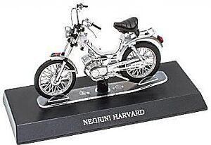 NEGRINI HARVARD