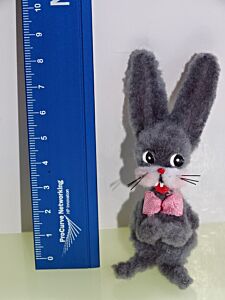 Hase