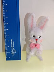 Hase