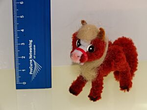 Pony - Pferd