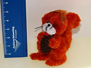 Eichhörnchen - Eichkätzchen