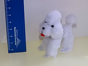 Hund - Pudel