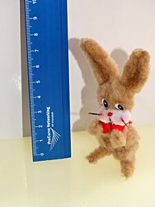 Hase