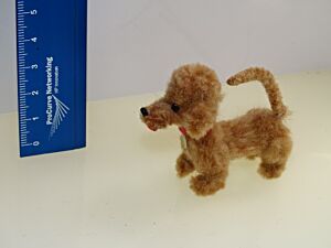 Hund - Dackel