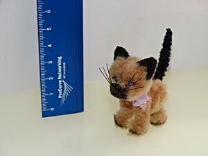 Katze