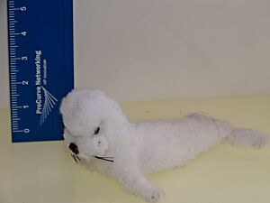 Seehund - Robbe