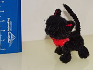 Katze