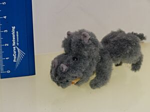 Flußpferd