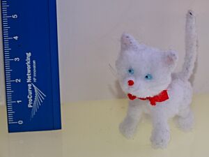 Katze