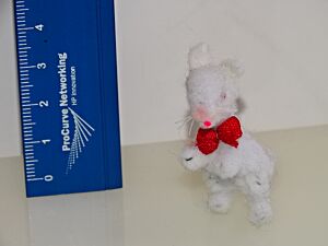 Hase