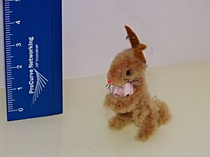 Hase