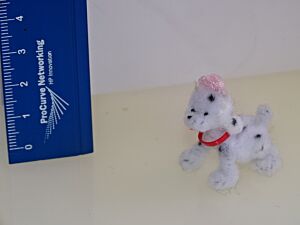 Hund - Dalmatiner