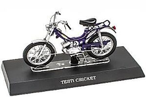 TESTI CRICKET